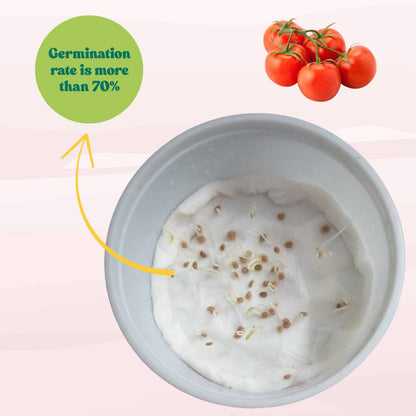 Tomato F1 Hybrid Seeds - 50 Seeds (Tamatar) (टमाटर के बीज) High Germination/ Easy to Grow/ Ideal for Terrace/Kitchen Gardening