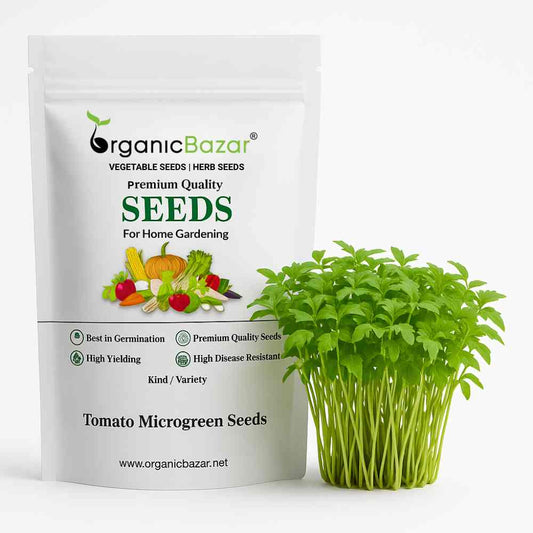 Tomato Microgreen Seeds (3g)