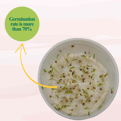 Tomato Microgreen Seeds (3g)