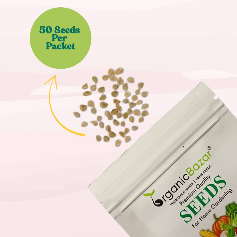 Tomato Oval Red Seeds - 50 Seeds (Tamatar/टमाटर के बीज) High Germination/ Easy to Grow/ Ideal for Terrace/Kitchen Gardening