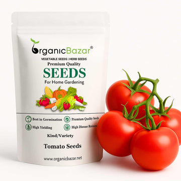 Tomato Seeds - 50 Seeds (Tamatar) (टमाटर के बीज) High Germination/ Easy to Grow/ Ideal for Terrace/Kitchen Gardening