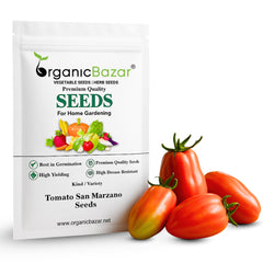 Tomato San Marzano Seeds - 50 Seeds (Tamatar/टमाटर के बीज) High Germination/ Easy to Grow/ Ideal for Terrace/Kitchen Gardening