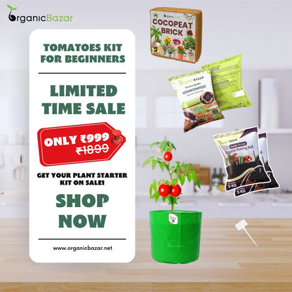 Tomatoes Growing Kit for beginners Grow Your Own Tomatoes - Perfect for Beginners