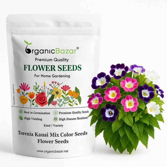 Torenia Kauai Mix Color Flower Seeds (30 Seeds) Wishbone Flower Seeds for Pots, Hanging Baskets & Shade Garden