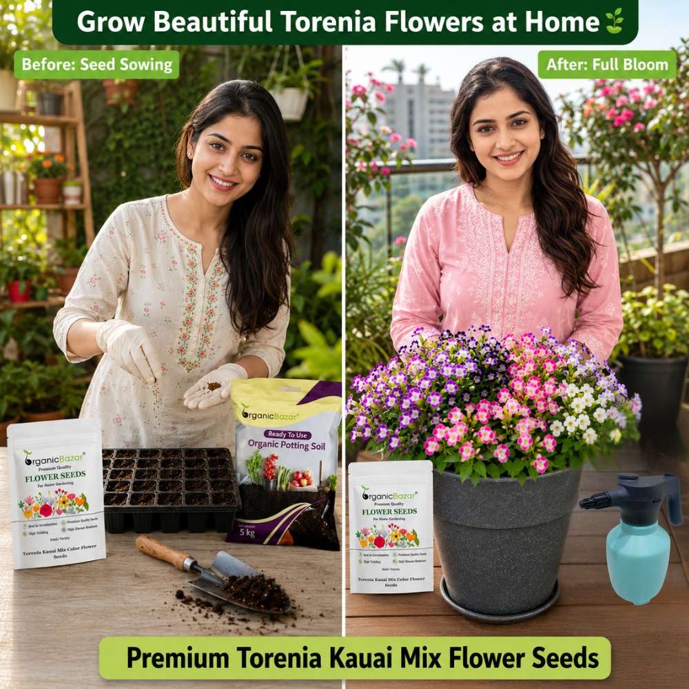 Torenia Kauai Mix Color Flower Seeds (30 Seeds) Wishbone Flower Seeds for Pots, Hanging Baskets & Shade Garden
