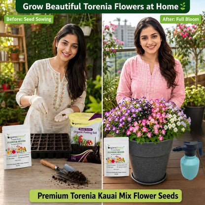 Torenia Kauai Mix Color Flower Seeds (30 Seeds) Wishbone Flower Seeds for Pots, Hanging Baskets & Shade Garden