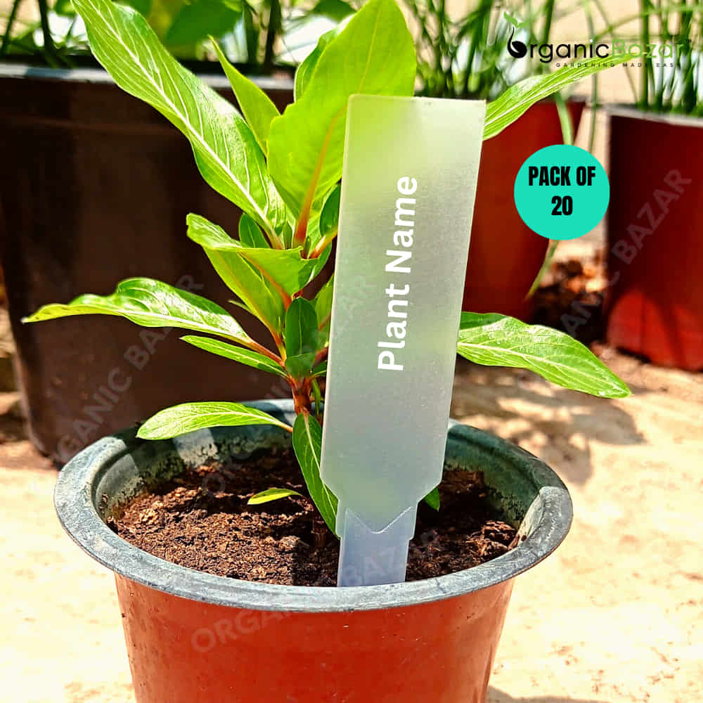 Transparent Arrow shape Plant Tag Marker label for Home Gardening