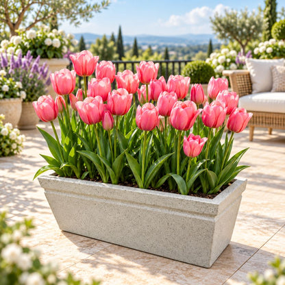 Tulip Pink Flower Bulbs (05N) Elegant Spring Blooms for Home Garden 🌷✨