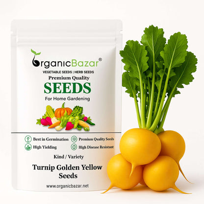 Turnip Golden Yellow Seeds (200 Seeds)