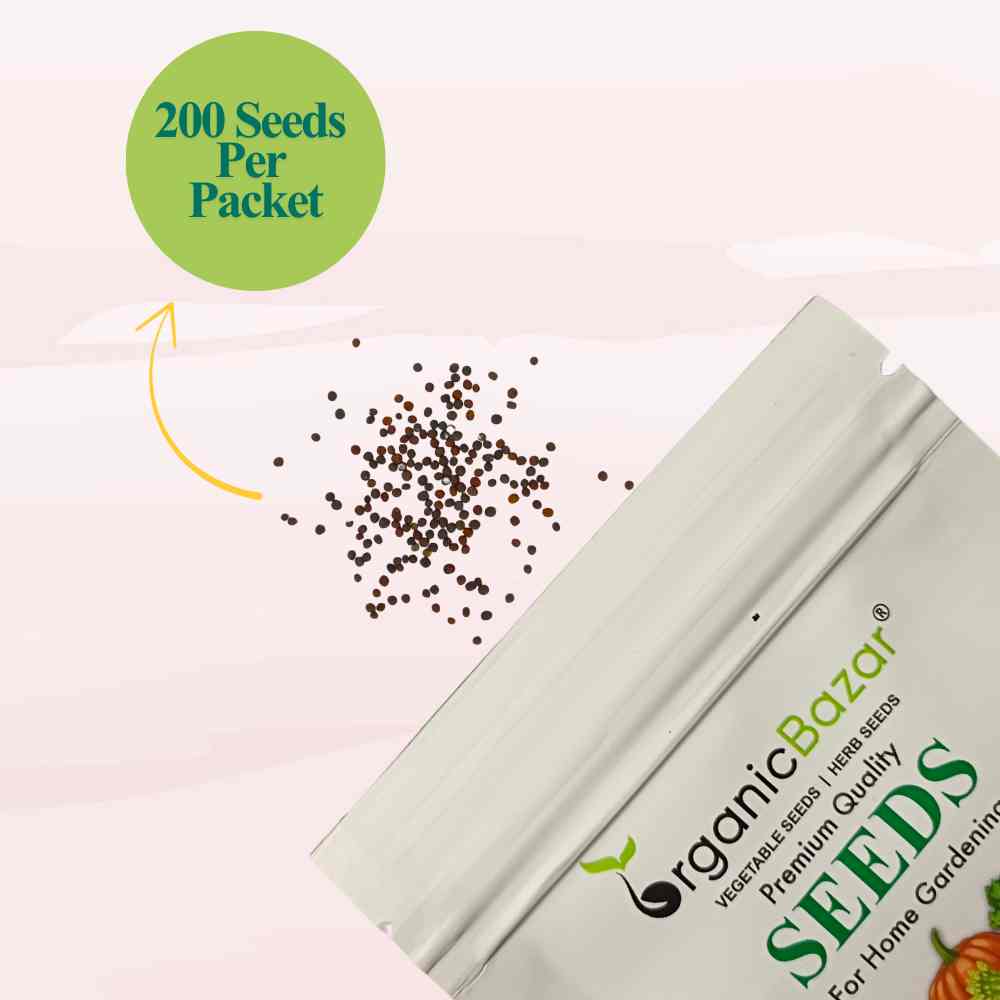 Turnip (Shaljam) Seeds - 200 Seeds (शलजम के बीज)