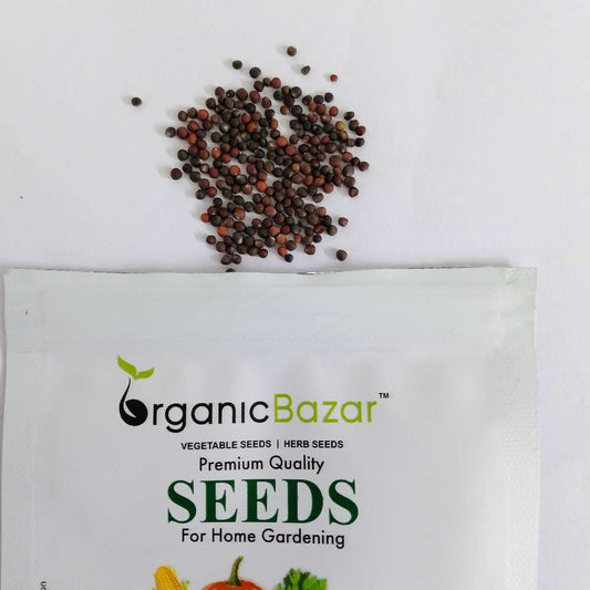 Untreated Cabbage Seeds For Organic Gardening (Patta Gobhi/ पत्ता गोभी के बीज)