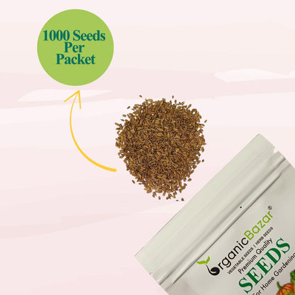 Untreated Carrot Orange Seeds For Organic Gardening - 1000 Seeds (Gajar/गाजर के बीज)