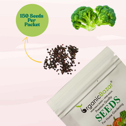 Untreated Broccoli Seeds For Organic Gardening - 150 Seeds (ब्रॉकली के बीज) High Germination /Easy to Grow/Ideal for Terrace/Kitchen Gardening