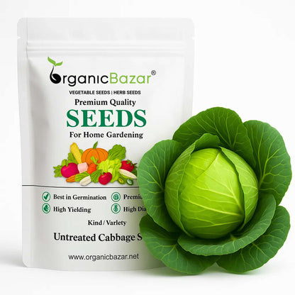 Untreated Cabbage Seeds For Organic Gardening - 200 Seeds (Patta Gobhi/ पत्ता गोभी के बीज) High Germination / Easy to Grow / Ideal for Terrace/Kitchen Gardening