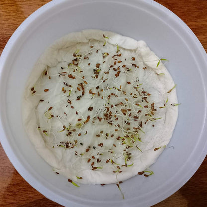 Untreated Carrot Orange Seeds For Organic Gardening - 1000 Seeds (Gajar/गाजर के बीज)