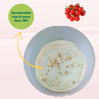 Untreated Cherry Tomato Seeds For Organic Home Gardening - 50 Seeds (चेरी टमाटर के बीज) High Germination, Juicy & Flavorful