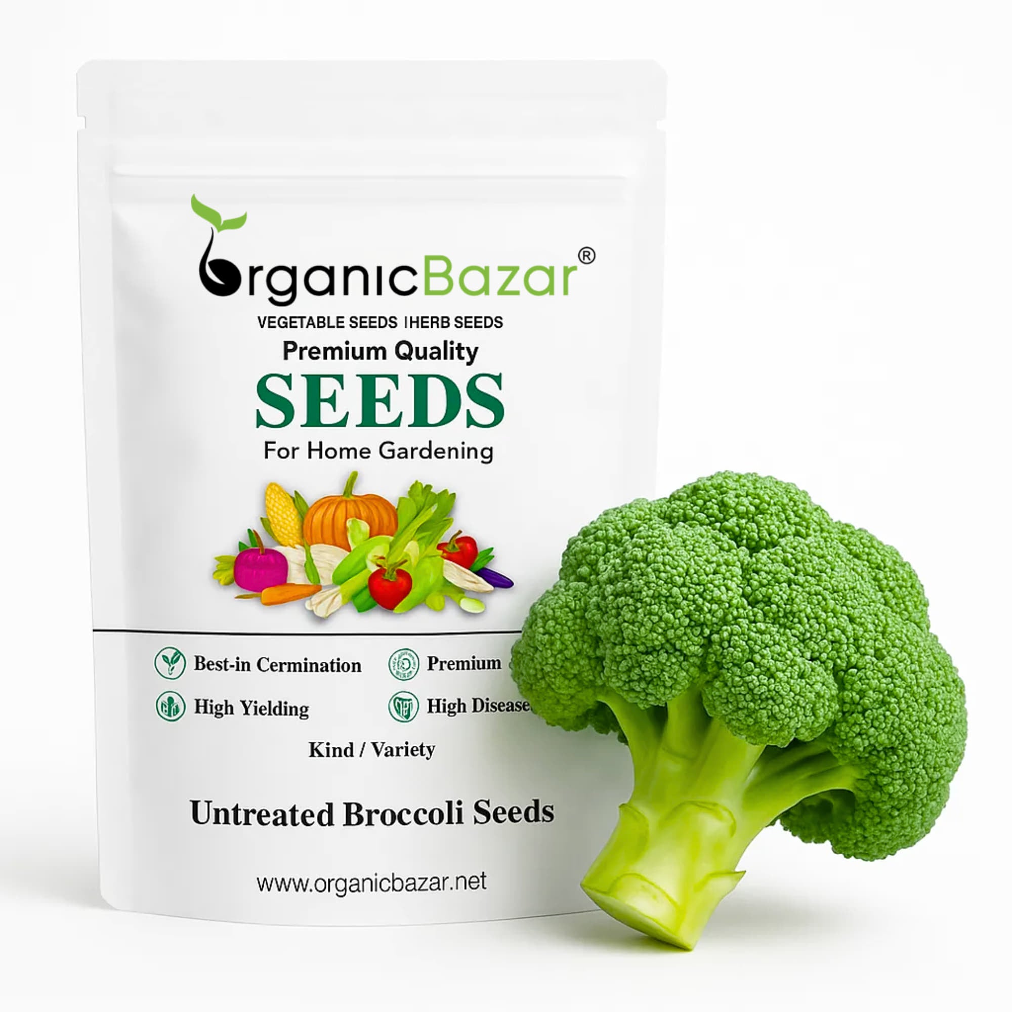 Untreated Broccoli Seeds For Organic Gardening - 150 Seeds (ब्रॉकली के बीज) High Germination /Easy to Grow/Ideal for Terrace/Kitchen Gardening