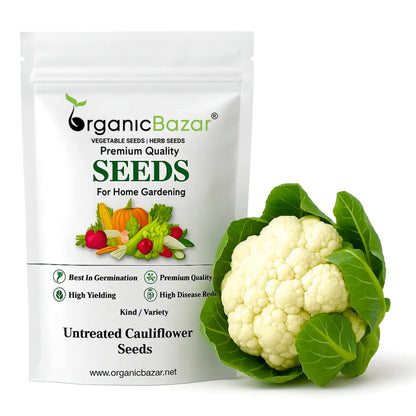 Untreated Cauliflower Seeds For Organic Gardening (200 Seeds) (Phool Gobhi/ फूल गोभी के बीज) High Germination /Easy to Grow/Ideal for Terrace/Kitchen Gardening