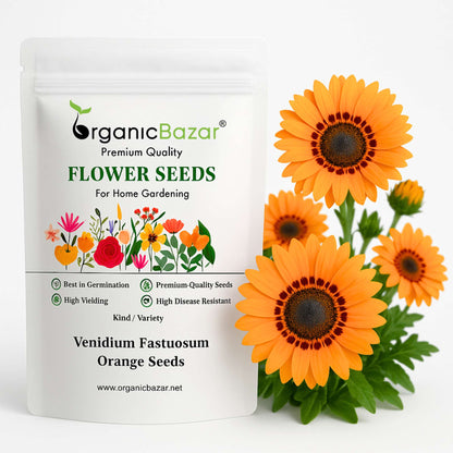 Venidium fastuosum Orange Seeds (200 Seeds) High Germination/ Easy To grow/ Perfect for pots, balconies, or Terrace gardens