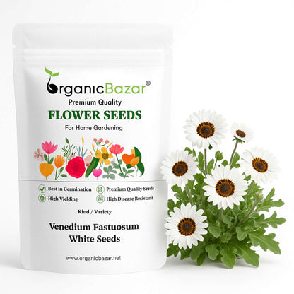 Venidium Fastuosum White Seeds (200 Seeds) High Germination/ Easy To grow/ Perfect for pots, balconies, or Terrace gardens
