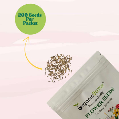 Verbena Ideal Florist Mix Seeds (200 Seeds) High Germination/ Easy To grow/ Perfect for pots, balconies, or Terrace gardens