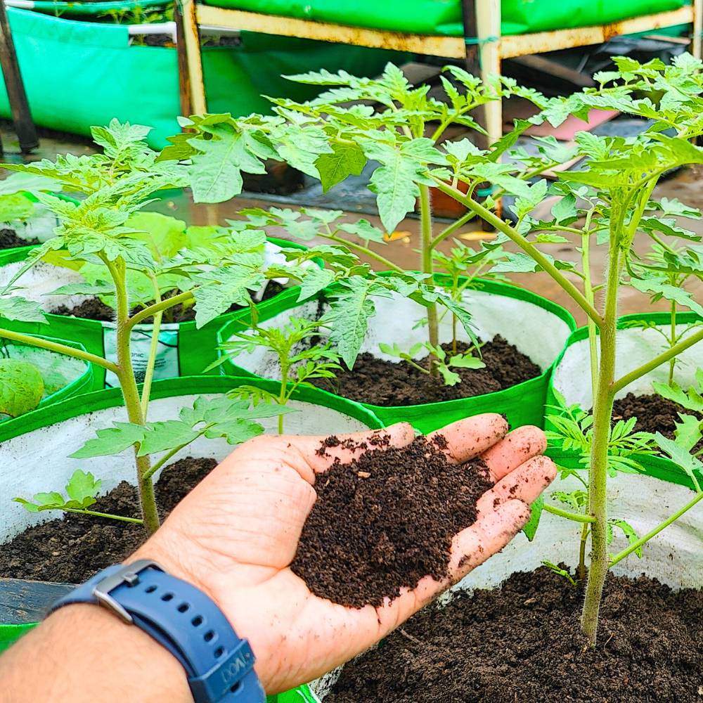 Vermicompost Fertilizer for All Plants (10kg)