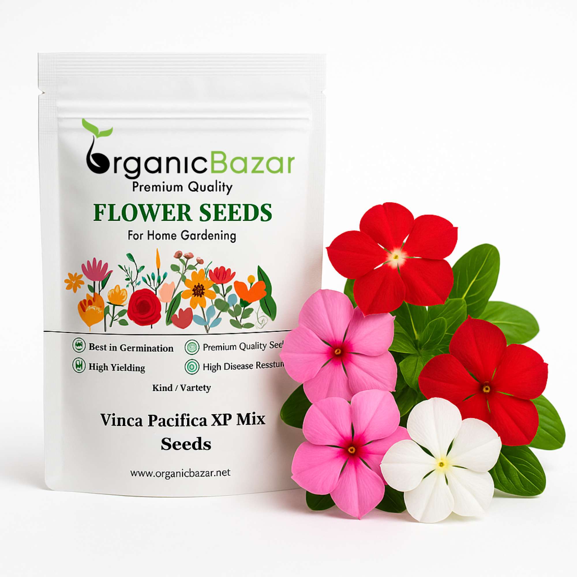 Vinca Pacifica XP Mix Seeds - 25 Seeds (Periwinkle/ Sadabahar/सदाबहार के बीज) High Germination, Annual Flower Seeds for Terrace Gardening