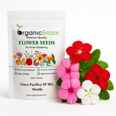 Vinca Pacifica XP Mix Seeds - 25 Seeds (Periwinkle/ Sadabahar/सदाबहार के बीज) High Germination, Annual Flower Seeds for Terrace Gardening