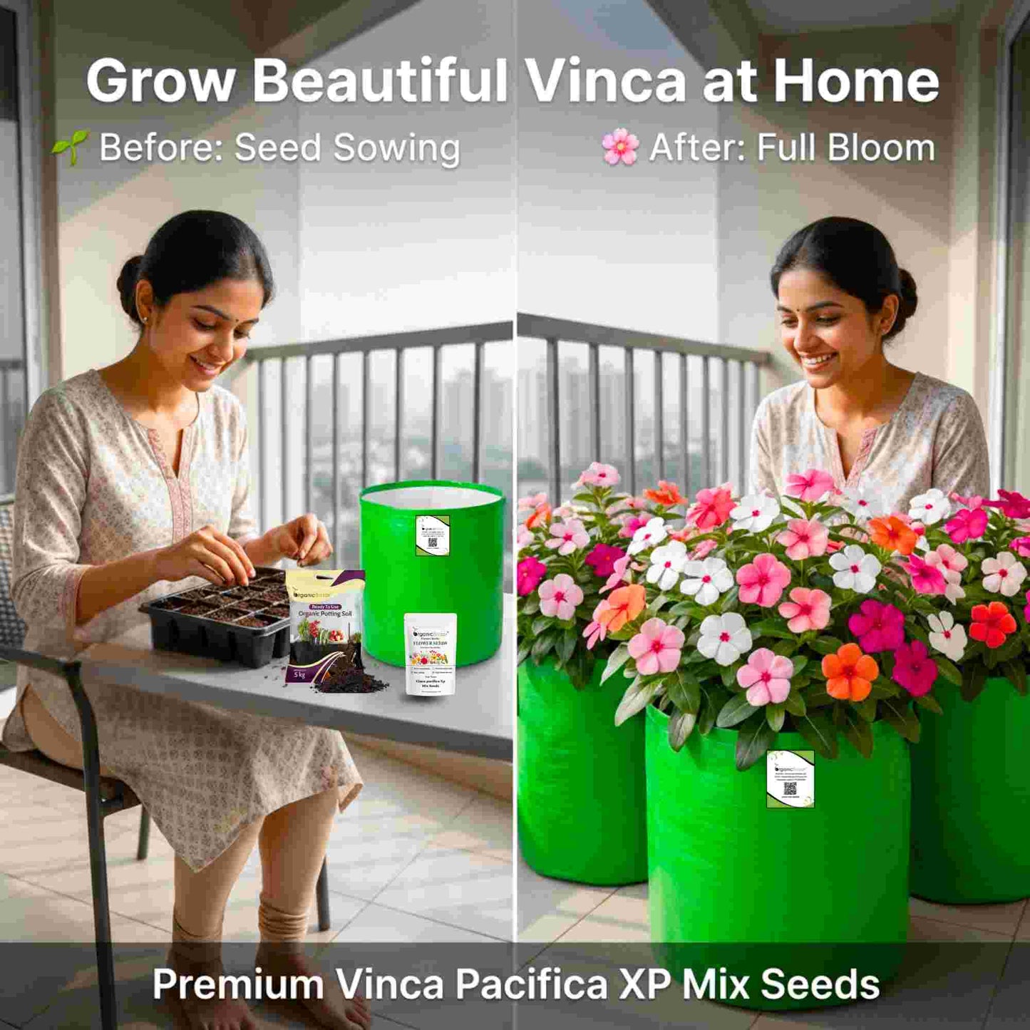 Vinca Pacifica XP Mix Seeds - 25 Seeds (Periwinkle/ Sadabahar/सदाबहार के बीज) High Germination, Annual Flower Seeds for Terrace Gardening