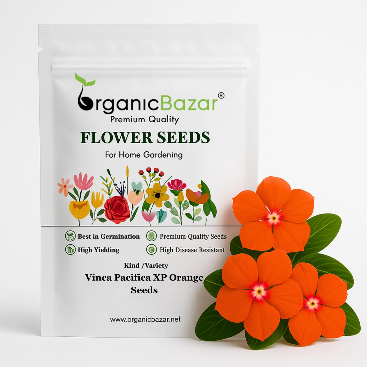 Vinca Pacifica XP Orange Seeds - 25 Seeds (Periwinkle/ Sadabahar/सदाबहार के बीज) High Germination, Annual Flower Seeds for Terrace Gardening