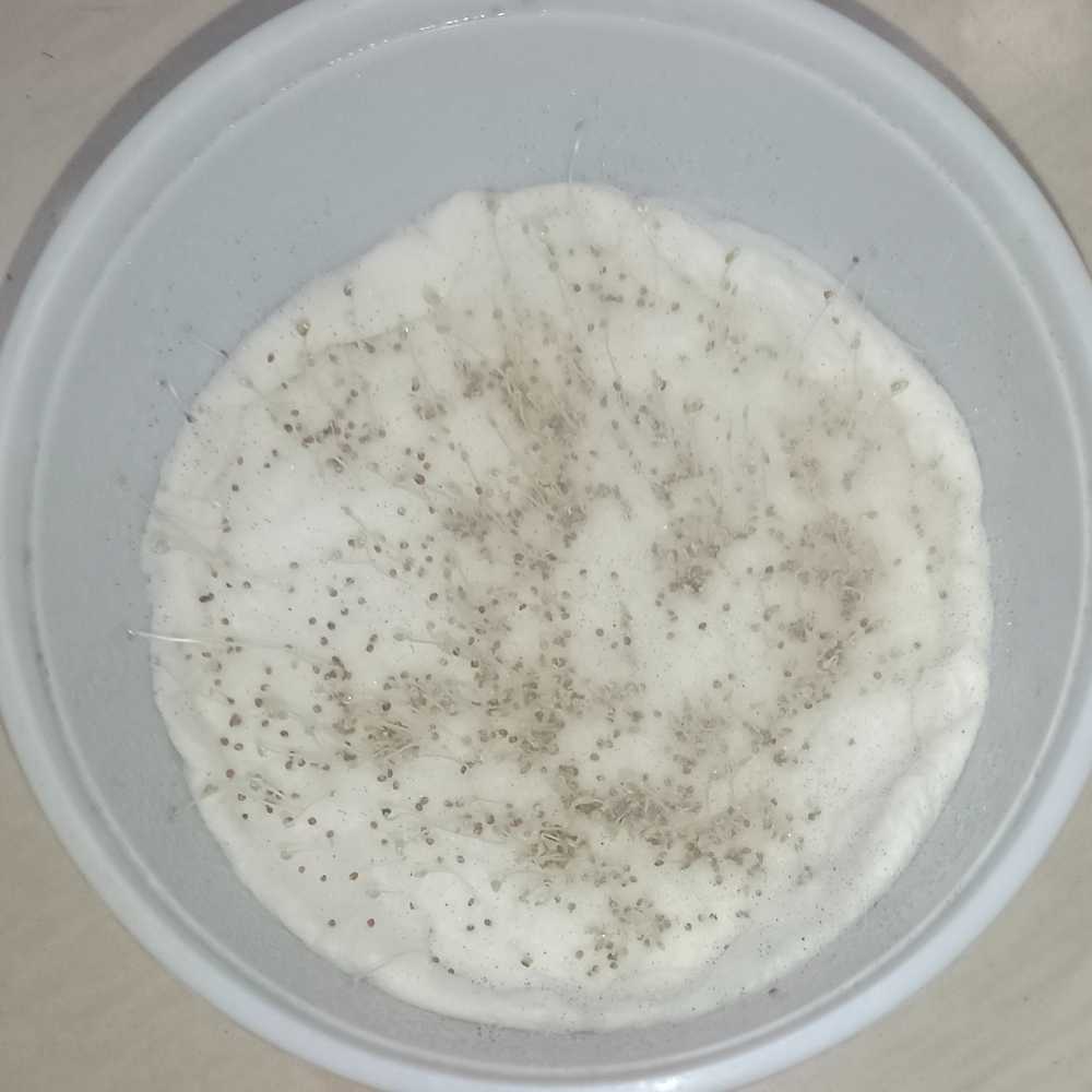 Water Cress Seeds (500 Seeds)