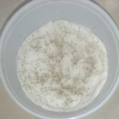 Water Cress Seeds (500 Seeds)