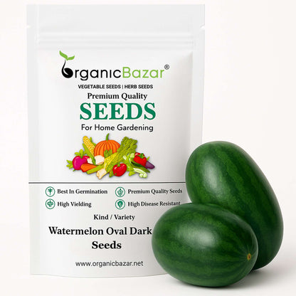 Watermelon Oval Dark Green Seeds - 12 Seeds(Tarbooj/तरबूज के बीज)