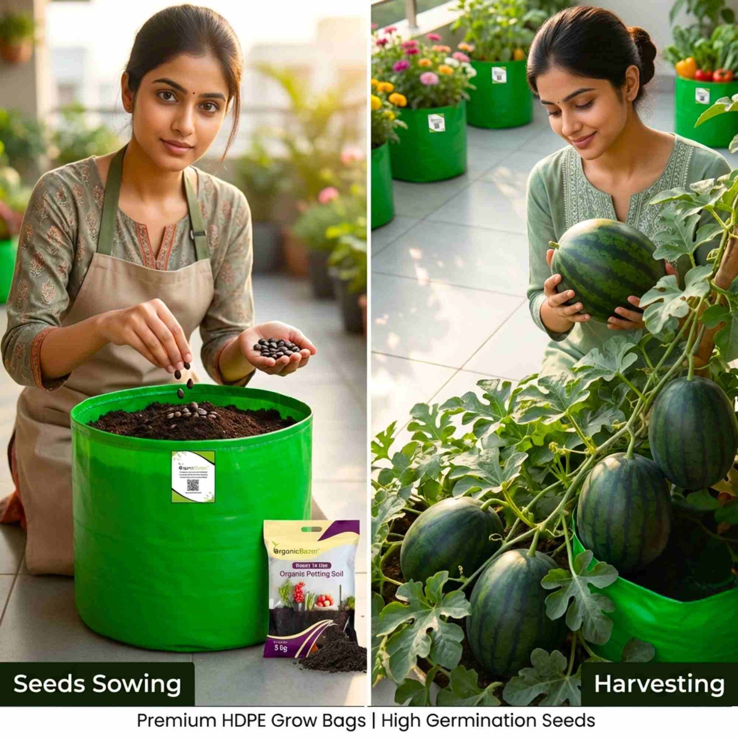 Watermelon Oval Dark Green Seeds - 12 Seeds(Tarbooj/तरबूज के बीज)
