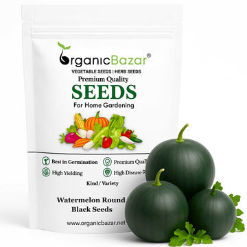 Watermelon Round Black Seeds - 12 Seeds (Tarbooj/तरबूज के बीज)