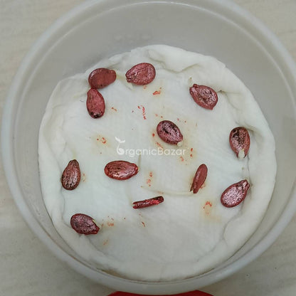 Watermelon Striped Oval Seeds - 12 Seeds (Tarbooj/तरबूज के बीज)