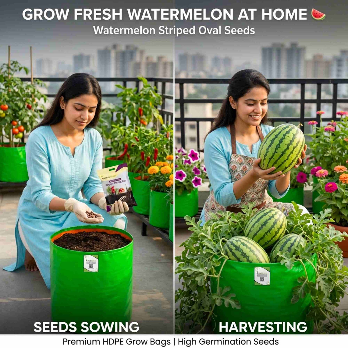 Watermelon Striped Oval Seeds - 12 Seeds (Tarbooj/तरबूज के बीज)