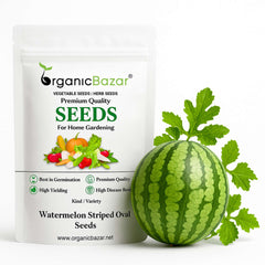 Watermelon Striped Oval Seeds - 12 Seeds (Tarbooj/तरबूज के बीज)