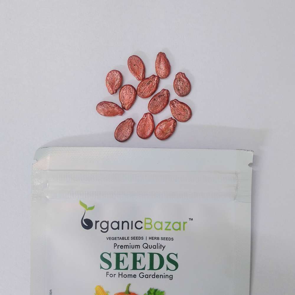 Watermelon Striped Oval Seeds - 12 Seeds (Tarbooj/तरबूज के बीज)