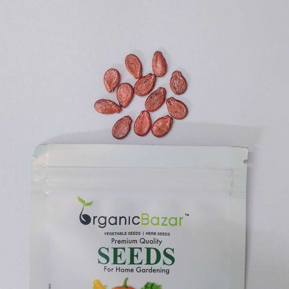 Watermelon Striped Oval Seeds - 12 Seeds (Tarbooj/तरबूज के बीज)