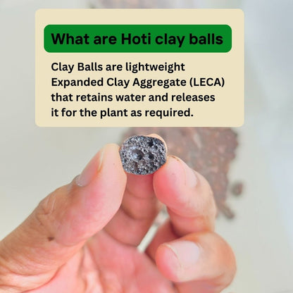 Clay Balls for Plants (LECA) – 8–15 mm | Lightweight Expanded Clay Aggregate - 450 g
