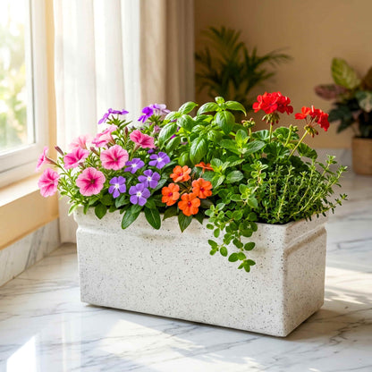 Roto Moulded Lectus Rectangular Pot-20 | Modern Indoor & Outdoor Planter (Pack of 1)