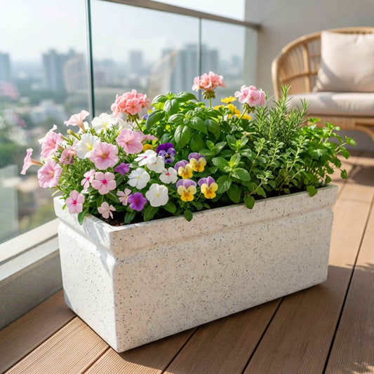 Roto Moulded Lectus Rectangular Pot-20 | Modern Indoor & Outdoor Planter (Pack of 1)