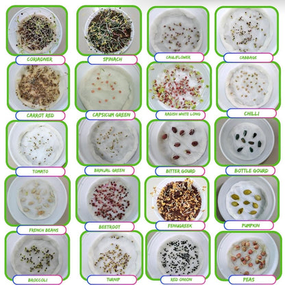 Winter Season Vegetables Seeds Kit – 20 Best Winter Vegetable Seeds for Terrace Gardening 🌱❄️