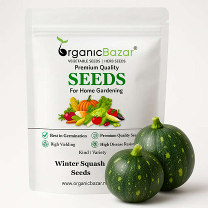 Winter Squash (Pumpkin) Seeds (10 Seeds) Easy To grow, High Germination, High Yield Seeds for Home Gardening