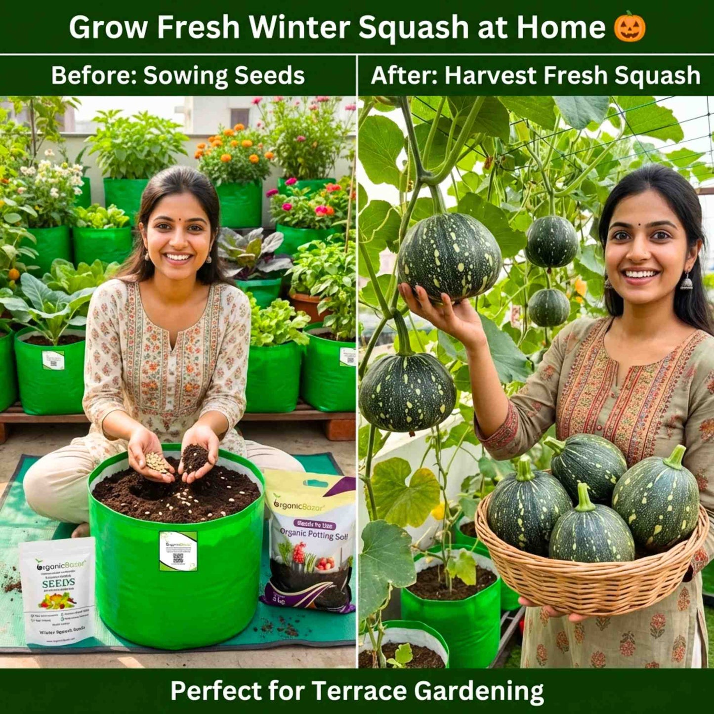 Winter Squash (Pumpkin) Seeds (10 Seeds) Easy To grow, High Germination, High Yield Seeds for Home Gardening