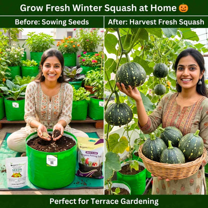 Winter Squash (Pumpkin) Seeds (10 Seeds) Easy To grow, High Germination, High Yield Seeds for Home Gardening