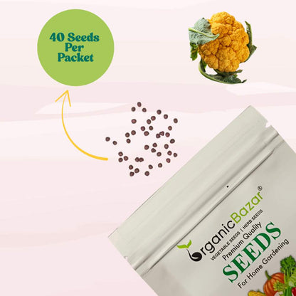 Yellow Cauliflower (Pili Phool Gobhi) Seeds - 40 Seeds (पीली गोभी के बीज) High Germination /Easy to Grow/Ideal for Terrace/Kitchen Gardening