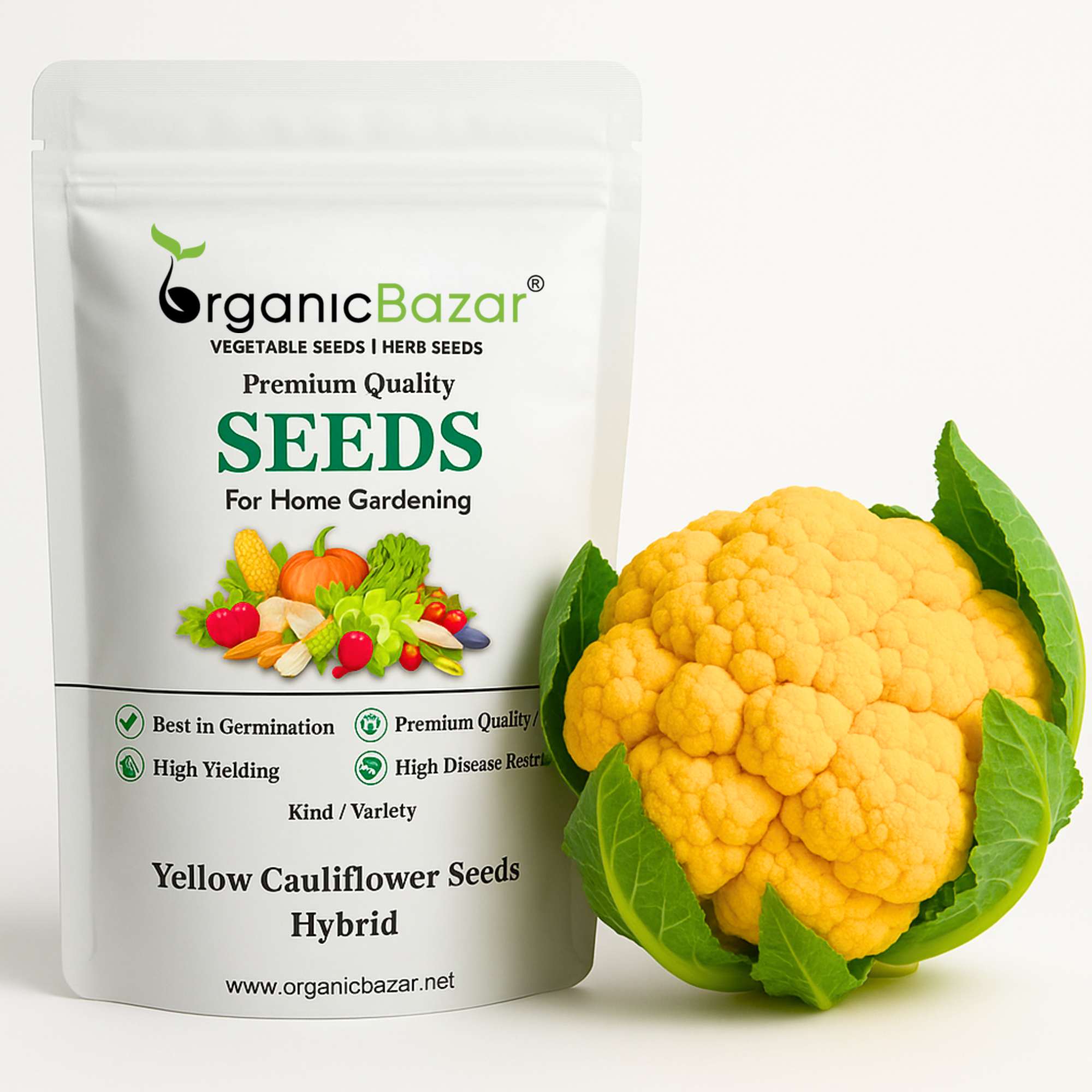 Yellow Cauliflower (Pili Phool Gobhi) Seeds Hybrid - 40 Seeds (पीली गोभी के बीज) High Germination /Easy to Grow/Ideal for Terrace/Kitchen Gardening