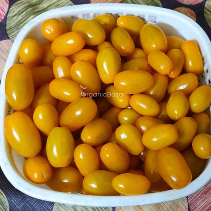 Yellow Grapes Cherry Tomato Seeds (F1 Hybrid)  - 30 Seeds (Tamatar/टमाटर के बीज) High Germination/ Easy to Grow/ Ideal for Terrace/Kitchen Gardening